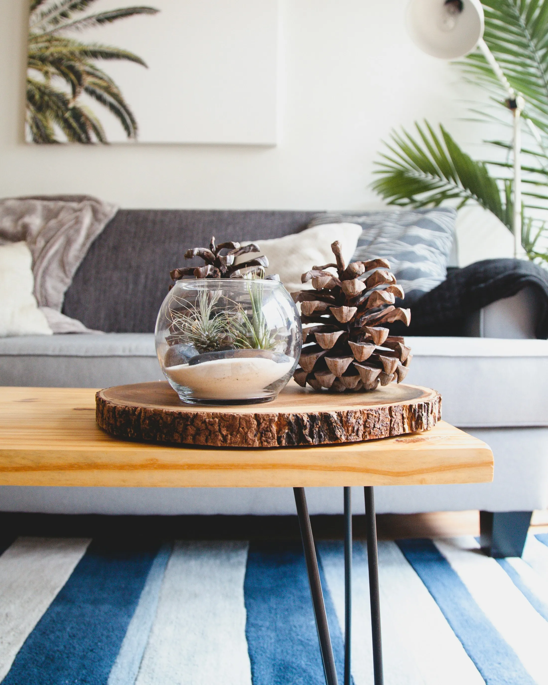 Home goods category editorial image